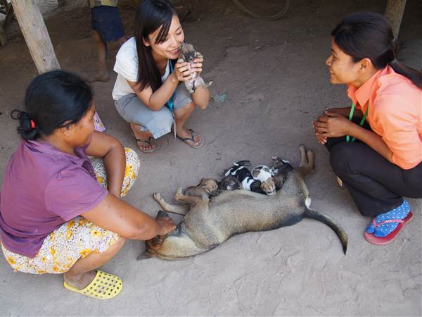 20150130_cambodia_tanakaai_4.jpg